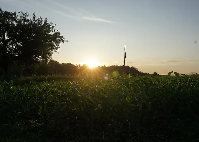 Naturnah Und Familienfreundlich Appartement