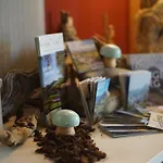 Apartamento Naturnah Und Familienfreundlich Degersheim